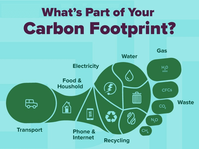 What is Carbon Footprint and How to Track It?